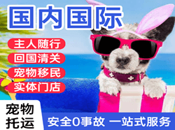 大兴国际宠物托运 【国